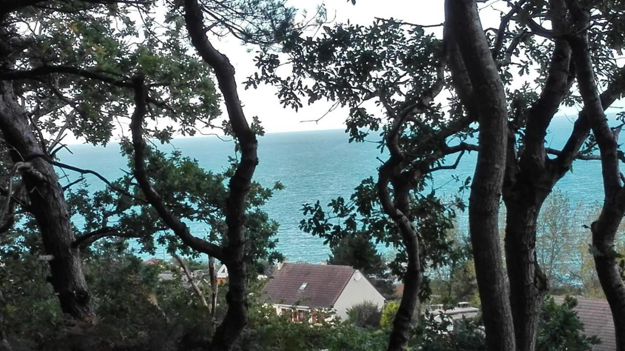 Au Courtil Des Chenes Marins, Meuble 3 Etoiles Villa Digosville Exterior foto